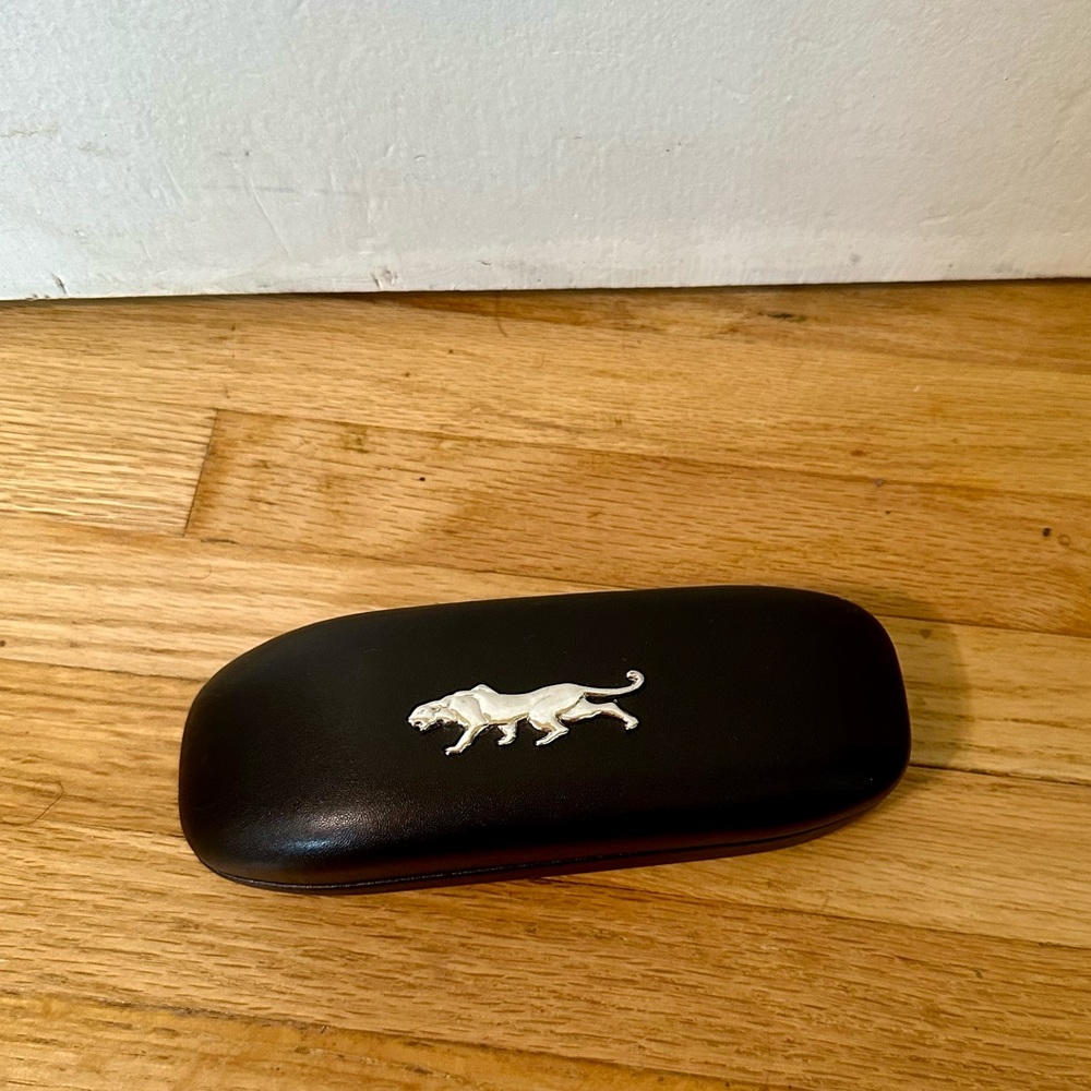 3/$10 🌼 Pantanera Glasses Case